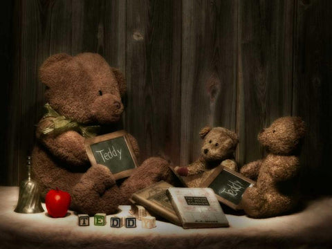 Teddybear School White Modern Wood Framed Art Print with Double Matting by McNemar, C. Thomas