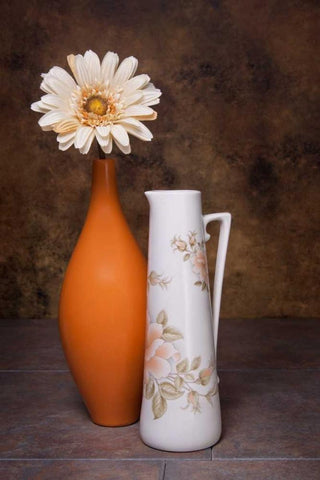 Orange Vase with Pitcher I White Modern Wood Framed Art Print with Double Matting by McNemar, C. Thomas