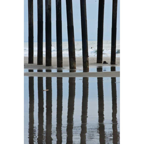 Pier Pilings II2 Gold Ornate Wood Framed Art Print with Double Matting by Peterson, Lee