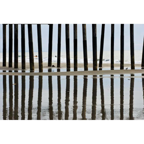 Pier Pilings II3 Gold Ornate Wood Framed Art Print with Double Matting by Peterson, Lee