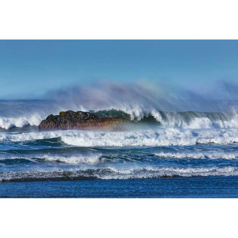 Cayucos Waves I Gold Ornate Wood Framed Art Print with Double Matting by Peterson, Lee