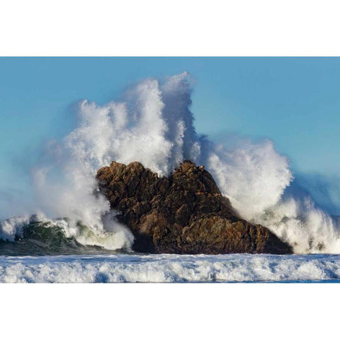 Cayucos Waves II Gold Ornate Wood Framed Art Print with Double Matting by Peterson, Lee