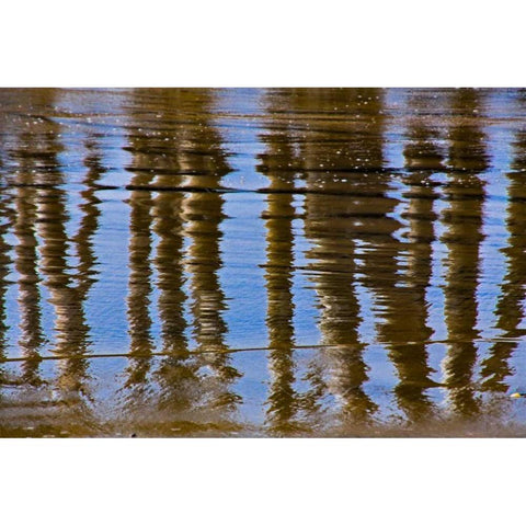 Pier Reflections II Gold Ornate Wood Framed Art Print with Double Matting by Peterson, Lee