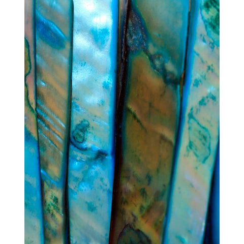 Shell Be Blue II Gold Ornate Wood Framed Art Print with Double Matting by Putman, Tammy