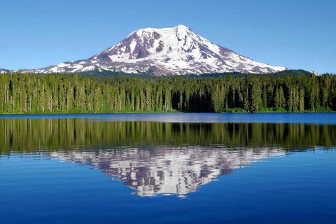 Mt. Adams Black Ornate Wood Framed Art Print with Double Matting by Taylor, Douglas