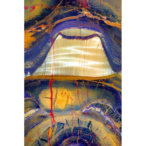 Tiger Eye Gold Ornate Wood Framed Art Print with Double Matting by Taylor, Douglas