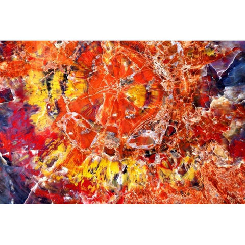 Kaleidoscope of Minerals Gold Ornate Wood Framed Art Print with Double Matting by Taylor, Douglas