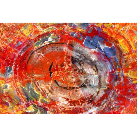 Minerals in Wood Gold Ornate Wood Framed Art Print with Double Matting by Taylor, Douglas