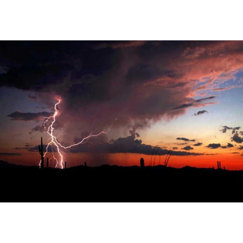 Twilight Lightning I Gold Ornate Wood Framed Art Print with Double Matting by Taylor, Douglas