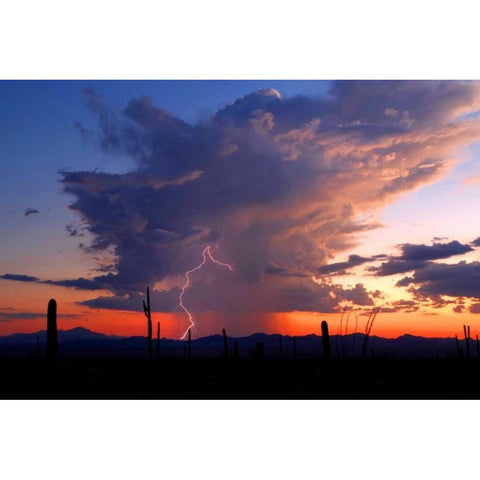 Twilight Lightning II Black Modern Wood Framed Art Print with Double Matting by Taylor, Douglas