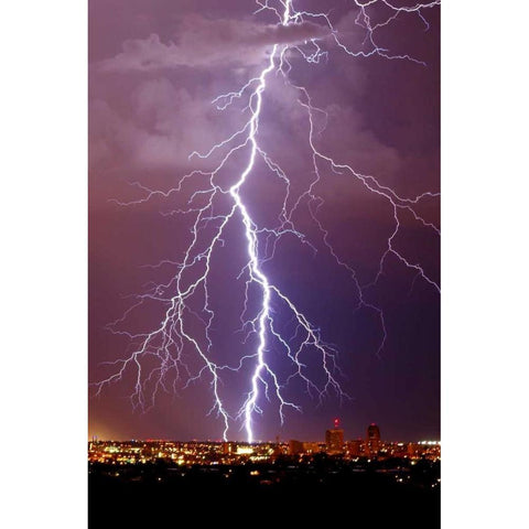 Lightning Portrait Gold Ornate Wood Framed Art Print with Double Matting by Taylor, Douglas