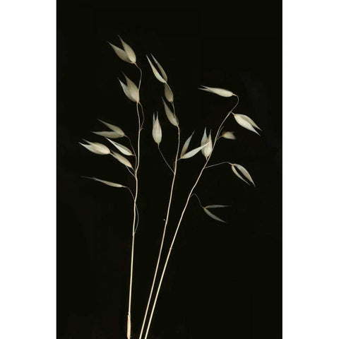 Grass Mosaic I Black Modern Wood Framed Art Print by Geyman, Vitaly