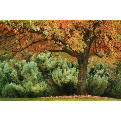 Ocean of Colors White Modern Wood Framed Art Print by Geyman, Vitaly