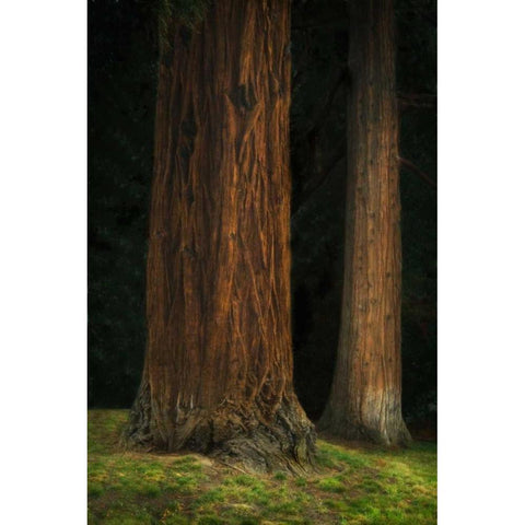 Ancient Forest II Gold Ornate Wood Framed Art Print with Double Matting by Geyman, Vitaly
