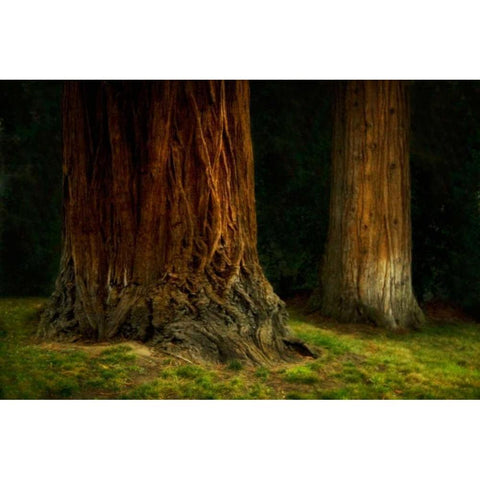 Ancient Forest IV Gold Ornate Wood Framed Art Print with Double Matting by Geyman, Vitaly