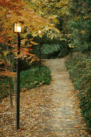 Autumn Path I Black Ornate Wood Framed Art Print with Double Matting by Geyman, Vitaly