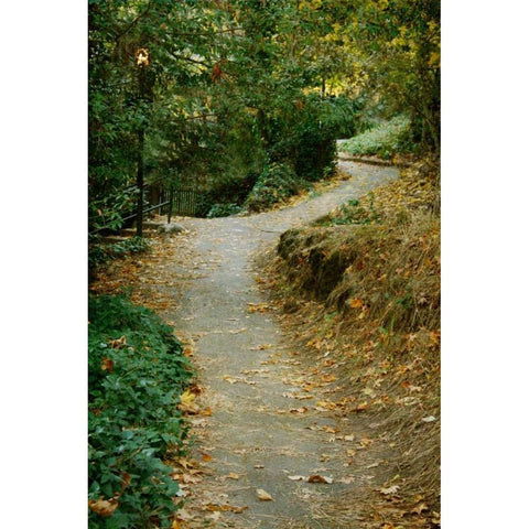 Autumn Path II Gold Ornate Wood Framed Art Print with Double Matting by Geyman, Vitaly
