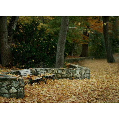 Autumn Paradise III Gold Ornate Wood Framed Art Print with Double Matting by Geyman, Vitaly