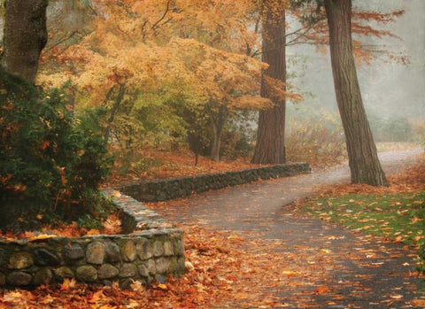 Autumn Paradise IV Black Ornate Wood Framed Art Print with Double Matting by Geyman, Vitaly