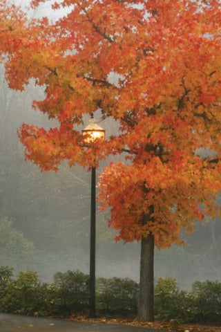 Colors in the Mist II White Modern Wood Framed Art Print with Double Matting by Geyman, Vitaly