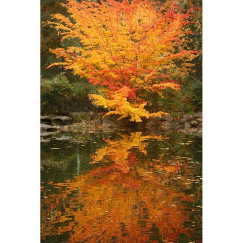 Fall Bouquet II Gold Ornate Wood Framed Art Print with Double Matting by Geyman, Vitaly