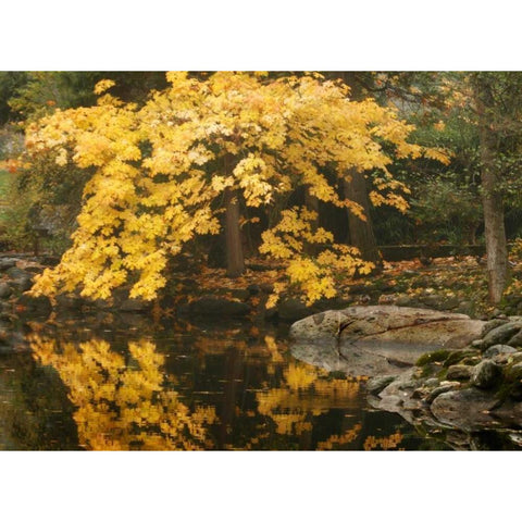 Autumn Reflections II Gold Ornate Wood Framed Art Print with Double Matting by Geyman, Vitaly