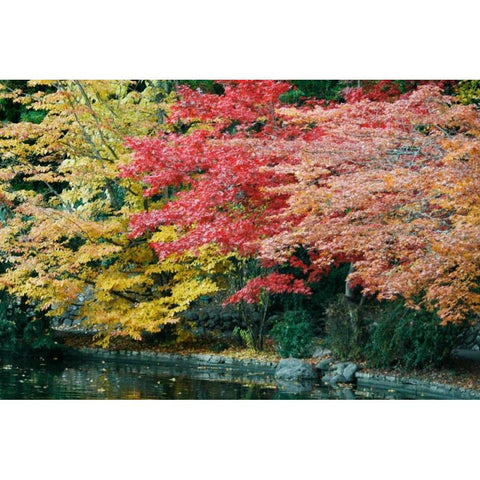 Autumn Trio I Gold Ornate Wood Framed Art Print with Double Matting by Geyman, Vitaly