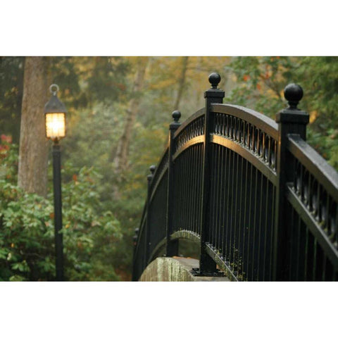 Bridge of Light I Gold Ornate Wood Framed Art Print with Double Matting by Geyman, Vitaly