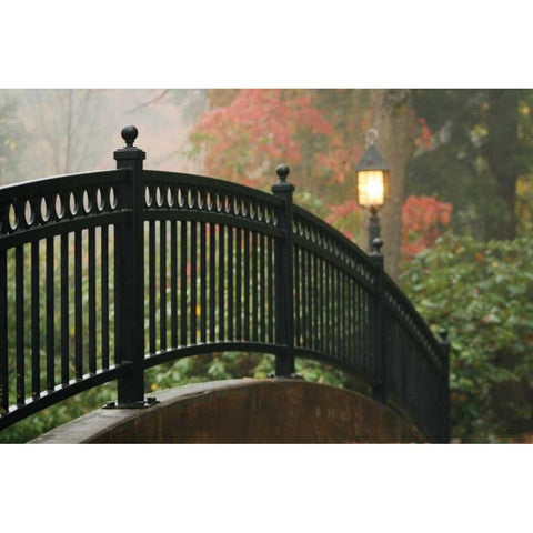 Bridge of Light II Black Modern Wood Framed Art Print by Geyman, Vitaly