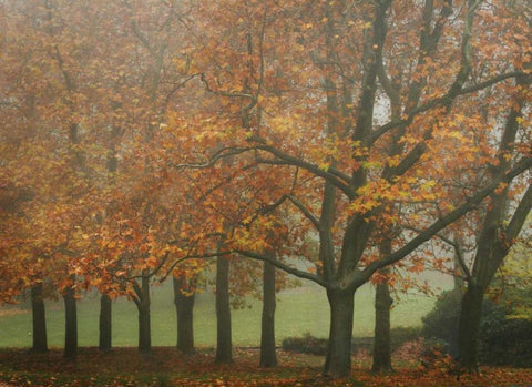 Colors in the Mist VIII White Modern Wood Framed Art Print with Double Matting by Geyman, Vitaly
