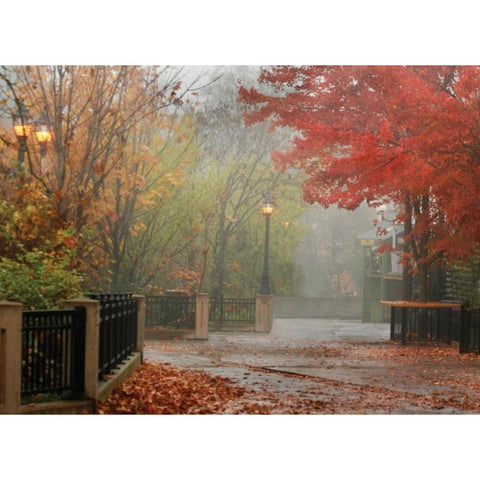 Fall Plaza I Gold Ornate Wood Framed Art Print with Double Matting by Geyman, Vitaly