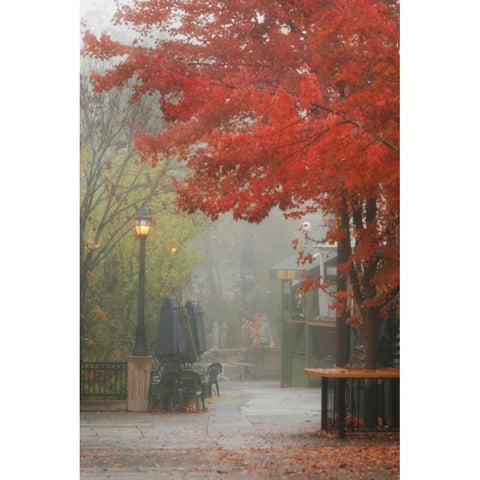 Fall Plaza III Gold Ornate Wood Framed Art Print with Double Matting by Geyman, Vitaly