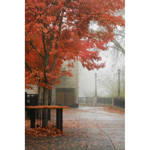 Fall Plaza IV Gold Ornate Wood Framed Art Print with Double Matting by Geyman, Vitaly