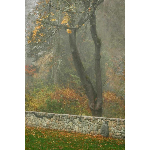 Fence Mosaic II Black Modern Wood Framed Art Print with Double Matting by Geyman, Vitaly