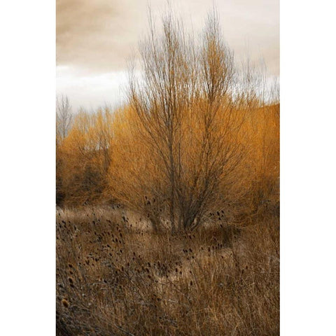 Spring Serenity I Gold Ornate Wood Framed Art Print with Double Matting by Geyman, Vitaly