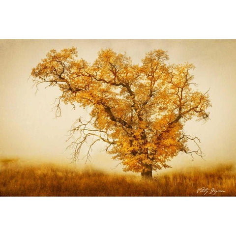 Misty VI Gold Ornate Wood Framed Art Print with Double Matting by Geyman, Vitaly