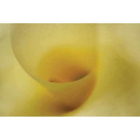Tender Moments I White Modern Wood Framed Art Print by Geyman, Vitaly