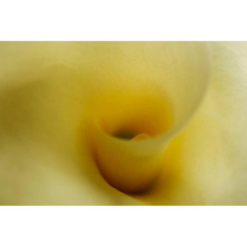 Tender Moments II Black Modern Wood Framed Art Print by Geyman, Vitaly
