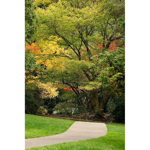 Fall Colors III Gold Ornate Wood Framed Art Print with Double Matting by Geyman, Vitaly