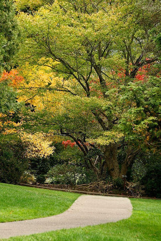 Fall Colors III White Modern Wood Framed Art Print with Double Matting by Geyman, Vitaly