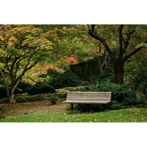 Fall Colors IV White Modern Wood Framed Art Print by Geyman, Vitaly