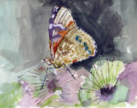 Watercolor Butterfly III White Modern Wood Framed Art Print with Double Matting by Roberto, LuAnn