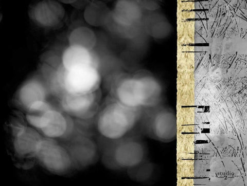 Path II Black Ornate Wood Framed Art Print with Double Matting by Studio 2