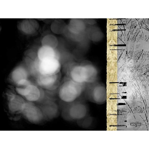 Path II Black Modern Wood Framed Art Print by Studio 2