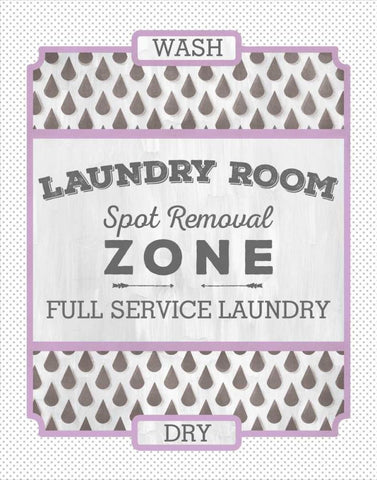 Laundry Room II Black Ornate Wood Framed Art Print with Double Matting by Sta Teresa, Ashley