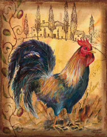 Tuscan Rooster I White Modern Wood Framed Art Print with Double Matting by Williams, Todd