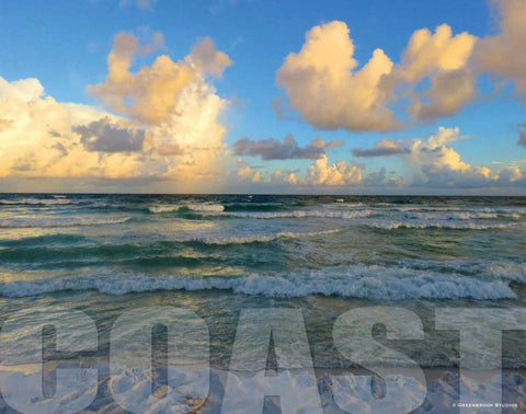 Florida Coast Black Ornate Wood Framed Art Print with Double Matting by Williams, Todd