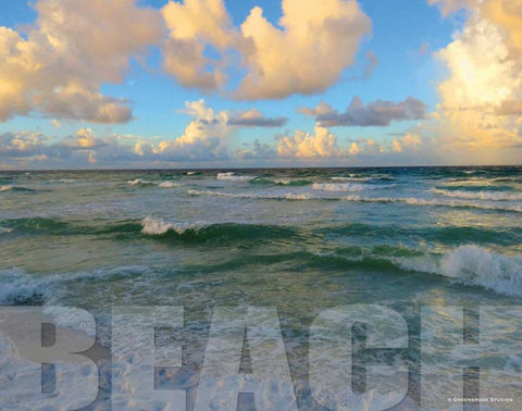 Florida Beach Black Ornate Wood Framed Art Print with Double Matting by Williams, Todd