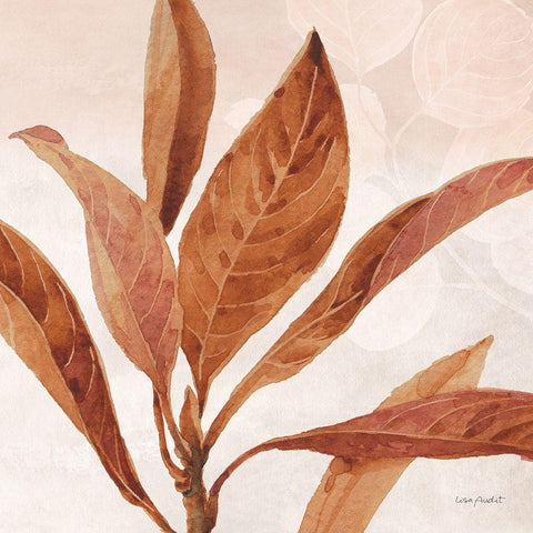 Terra 02 White Modern Wood Framed Art Print by Audit, Lisa