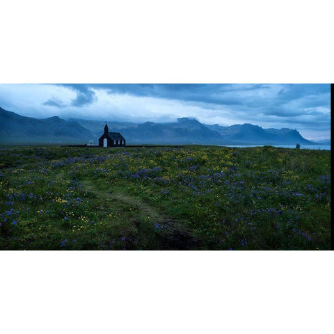 Wildflowers in Yellow and Blue White Modern Wood Framed Art Print by Head, Danny